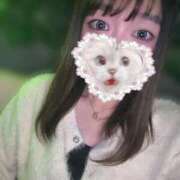 ヒメ日記 2025/11/27 10:56 投稿 いずみ 道玄坂クリスタル