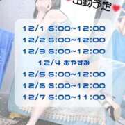 ヒメ日記 2025/11/29 09:06 投稿 いずみ 道玄坂クリスタル