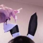 ヒメ日記 2025/04/11 23:05 投稿 リノア ドMなバニーちゃん すすきの店