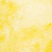 ヒメ日記 2025/09/27 17:22 投稿 リノア ドMなバニーちゃん すすきの店