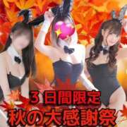 ヒメ日記 2025/10/16 18:30 投稿 リノア ドMなバニーちゃん すすきの店