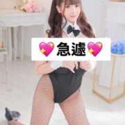 ヒメ日記 2025/10/24 19:05 投稿 リノア ドMなバニーちゃん すすきの店