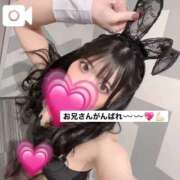 ヒメ日記 2025/11/21 12:25 投稿 リノア ドMなバニーちゃん すすきの店