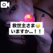 ヒメ日記 2025/11/30 11:25 投稿 リノア ドMなバニーちゃん すすきの店