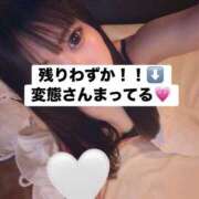 ヒメ日記 2026/06/12 19:25 投稿 リノア ドMなバニーちゃん すすきの店