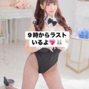 ヒメ日記 2026/10/04 09:05 投稿 リノア ドMなバニーちゃん すすきの店