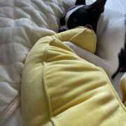 ヒメ日記 2025/07/03 07:55 投稿 みゅう ANNEX（アネックス）