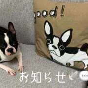 ヒメ日記 2025/09/29 17:02 投稿 みゅう ANNEX（アネックス）