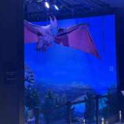 ヒメ日記 2026/01/20 21:44 投稿 明神ひすい グランエステ東京 品川（シンデレラグループ）