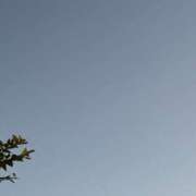 ヒメ日記 2024/12/09 07:00 投稿 さき 奥鉄オクテツ神奈川店（デリヘル市場グループ）