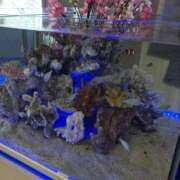 ヒメ日記 2025/02/05 20:45 投稿 さき 奥鉄オクテツ神奈川店（デリヘル市場グループ）