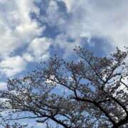 ヒメ日記 2025/04/07 17:10 投稿 さき 奥鉄オクテツ神奈川店（デリヘル市場グループ）