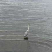 ヒメ日記 2025/06/03 13:55 投稿 さき 奥鉄オクテツ神奈川店（デリヘル市場グループ）