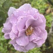 ヒメ日記 2025/06/10 14:40 投稿 さき 奥鉄オクテツ神奈川店（デリヘル市場グループ）