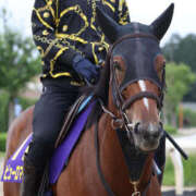 ヒメ日記 2025/09/28 12:10 投稿 さき 奥鉄オクテツ神奈川店（デリヘル市場グループ）