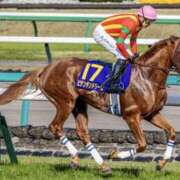 ヒメ日記 2025/10/06 10:20 投稿 さき 奥鉄オクテツ神奈川店（デリヘル市場グループ）