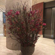 ヒメ日記 2026/03/05 18:05 投稿 さき 奥鉄オクテツ神奈川店（デリヘル市場グループ）