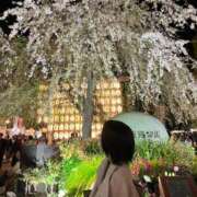 ヒメ日記 2025/04/16 23:53 投稿 さな 五反田人妻ヒットパレード（シンデレラグループ）