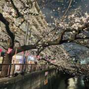 ヒメ日記 2025/03/31 16:14 投稿 かおり グッドワイフ