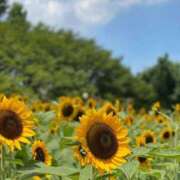 ヒメ日記 2025/08/24 14:40 投稿 ♡のえる先生♡ 梅田ムチぽよ女学院