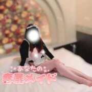 ヒメ日記 2025/12/16 13:50 投稿 ♡のえる先生♡ 梅田ムチぽよ女学院