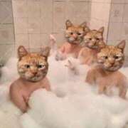 ヒメ日記 2026/04/28 19:20 投稿 ♡のえる先生♡ 梅田ムチぽよ女学院