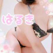 遥希(はるき) お知らせ 人妻出逢い会 百合の園 山の手本店