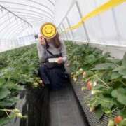 ヒメ日記 2026/03/17 12:37 投稿 遥希(はるき) 人妻出逢い会 百合の園 山の手本店