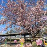 ヒメ日記 2026/03/23 21:12 投稿 遥希(はるき) 人妻出逢い会 百合の園 山の手本店