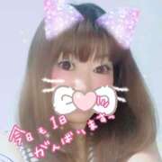 ヒメ日記 2025/04/04 12:01 投稿 かなみ 丸妻 新横浜店