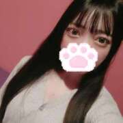 ヒメ日記 2025/01/31 12:09 投稿 りりあ アネックスジャパン