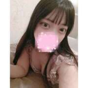 りりあ 7日目🐹 アネックスジャパン