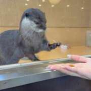 ヒメ日記 2025/03/06 20:36 投稿 なの 制服これくしょん