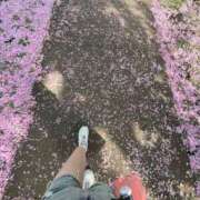 ヒメ日記 2025/04/27 10:26 投稿 なの 制服これくしょん