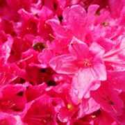 ヒメ日記 2024/12/05 12:21 投稿 あさか 艶熟妻 京都店