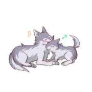 ヒメ日記 2025/03/06 18:57 投稿 あさか 艶熟妻 京都店