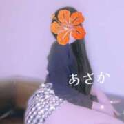 ヒメ日記 2026/02/20 04:38 投稿 あさか 艶熟妻 京都店