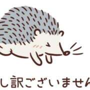 ヒメ日記 2025/01/10 08:49 投稿 りょうか 奥様はエンジェル　八王子店