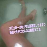 ヒメ日記 2025/01/31 07:52 投稿 りょうか 奥様はエンジェル　八王子店