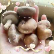 ヒメ日記 2025/02/25 19:23 投稿 りょうか 奥様はエンジェル　八王子店