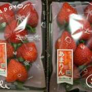 ヒメ日記 2026/02/10 06:33 投稿 りょうか 奥様はエンジェル　八王子店