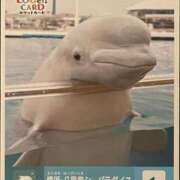 ヒメ日記 2026/03/22 08:43 投稿 りょうか 奥様はエンジェル　八王子店