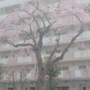 ヒメ日記 2026/03/24 08:53 投稿 りょうか 奥様はエンジェル　八王子店