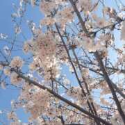 ヒメ日記 2026/03/27 09:11 投稿 りょうか 奥様はエンジェル　八王子店