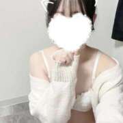 ヒメ日記 2026/01/09 03:13 投稿 ててにゃん★容姿端麗ニャンコ★ 発情期限定!!即ズボ動物愛護団体