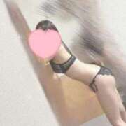 ヒメ日記 2026/09/23 04:30 投稿 ててにゃん★容姿端麗ニャンコ★ 発情期限定!!即ズボ動物愛護団体