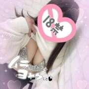 ヒメ日記 2025/03/19 12:20 投稿 めいか 即トク奥さん