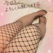 ヒメ日記 2025/05/25 09:56 投稿 めいか 即トク奥さん