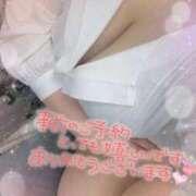 ヒメ日記 2025/07/02 21:00 投稿 めいか 即トク奥さん