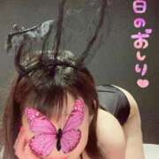 ヒメ日記 2024/12/18 12:07 投稿 しいな ホワイトハウス